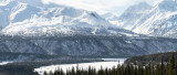 alaskan mountain with river and forest in forground