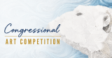 Congressional Art Comp