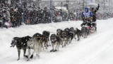 dog sled race
