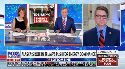 nb fox biz